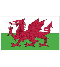 Vlajka Walesu FLAGWLS Printwear Wales
