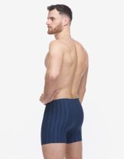 Pánské boxerky s delší nohavičkou 74183P GINA Lékořice-sv. modrá