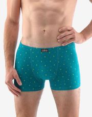 Pánské boxerky s kratší nohavičkou 73118P GINA