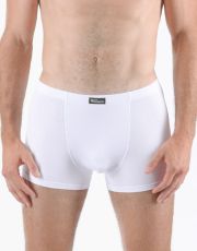 Pánské boxerky s kratší nohavičkou 73125P GINA