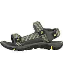 Unisex sandály BENNE ALPINE PRO