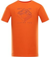 Pánské rychleschnoucí triko JERIJ ALPINE PRO