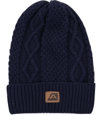 Pánská čepice REME ALPINE PRO