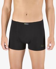 Pánské boxerky s kratší nohavičkou 73129P GINA