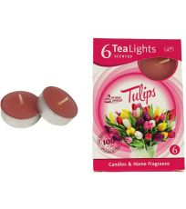 Svíčka čajová TULIPS 6ks MSC-TL1013 MOREX