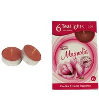 Svíčka čajová MAGNOLIA 6ks MSC-TL1016 MOREX