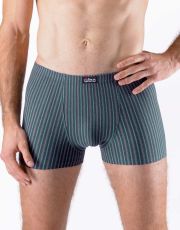 Pánské boxerky s kratší nohavičkou 73131P GINA