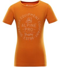 Dětské triko DEWERO ALPINE PRO