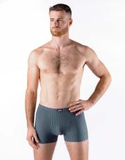 Pánské boxerky s kratší nohavičkou 73131P GINA lékořice-dunaj