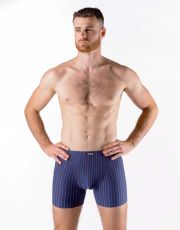 Pánské boxerky s delší nohavičkou 74167P GINA Lékořice-atlantic