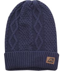 Pánská čepice REME ALPINE PRO