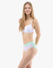 Dámské klasické kalhotky 10294P GINA 