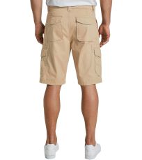 Pánské kapsáčové kraťasy TT-1016043 Tom Tailor 