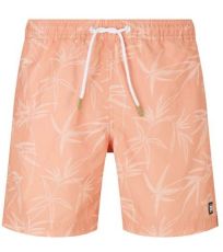 Pánské plážové kraťasy TT-1029970 Tom Tailor