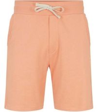 Pánské bavlněné kraťasy TT-1030619 Tom Tailor 