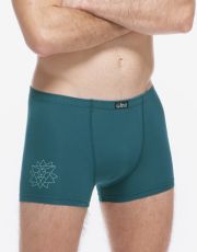Pánské boxerky s kratší nohavičkou 73135P GINA