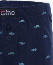Chlapecké volné trenky 25018P GINA lékořice-tm.tyrkysová