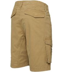 Pánské šortky VARUM LOAP 