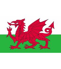 Vlajka Walesu FLAGWLS Printwear Wales