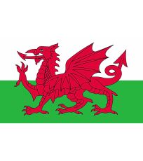 Vlajka Walesu FLAGWLS Printwear Wales