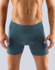 Pánské boxerky s delší nohavičkou 74086P GINA