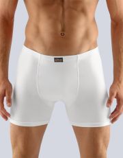 Pánské boxerky s delší nohavičkou 74086P GINA